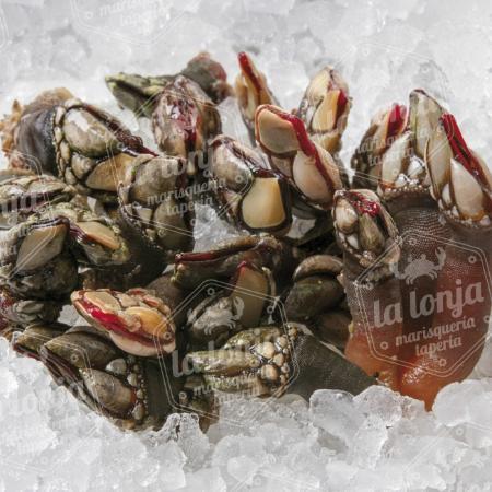 Marisquería La Lonja